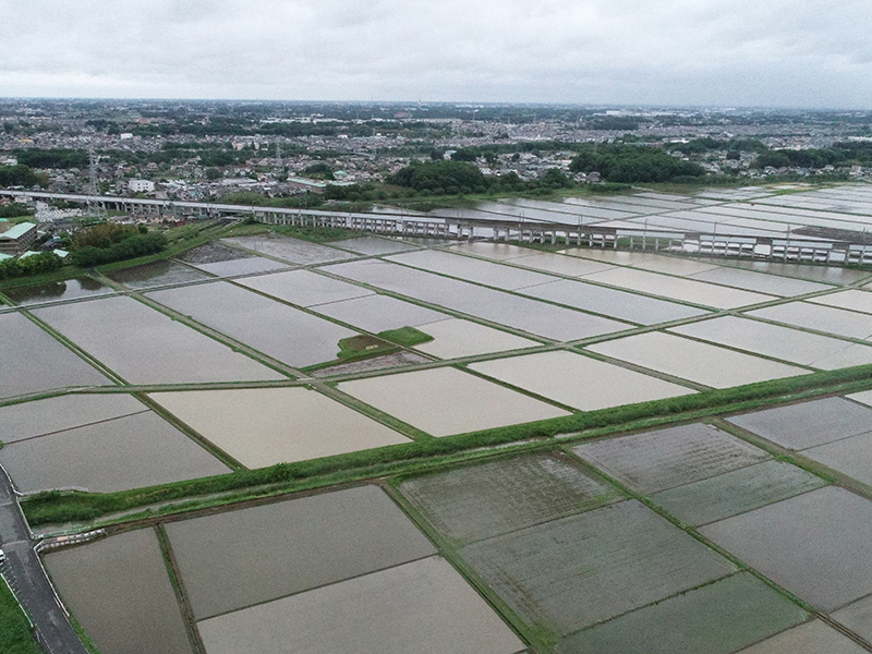 総I除）1閏第201号ほ場整備工事